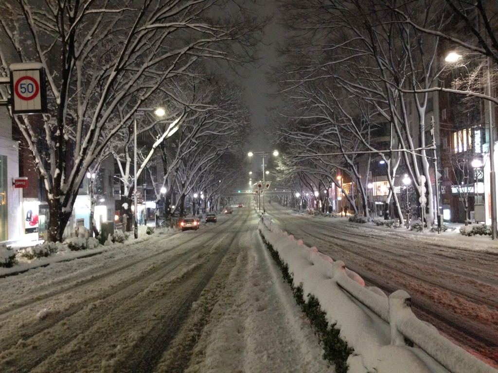 大雪に見舞われた東京•表参道の風景